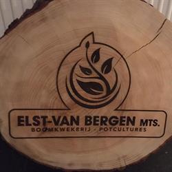 Boomkwekerij Elst-van Bergen Maatschap