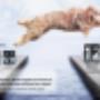Sterkliniek Dierenartsen West-Brabant