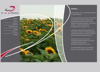 Sunnyflor