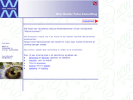 Wim Mulder Telco Consulting B.v.