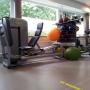 Fysiotherapie Manuele Therapie Rev training Freek vd Donk