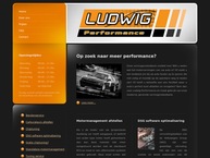 Website van Ludwig Performance 