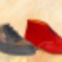 Willems Schoenen