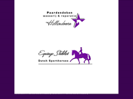 Paardendekenwasserij Hellendoorn