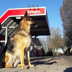 Benzinestation Tellegen V.o.f.
