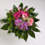 Passie-Flora Salland