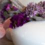 Passie-Flora Salland