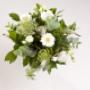 Passie-Flora Salland