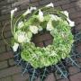 Passie-Flora Salland