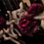 Passie-Flora Salland