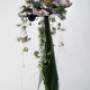 Passie-Flora Salland