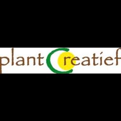 Plantcreatief