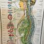 Osteopathie Haaksbergen