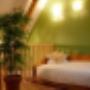 bed_and_breakfast_diepenheim_t