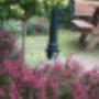 bed_and_breakfast_twente_diepe
