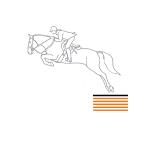 All Seasons Paardensportbodems