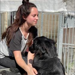 Dierenpension "Welgelegen" VOF