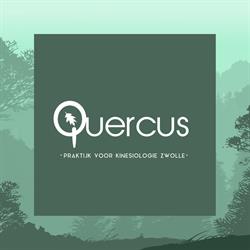 Quercus Praktijk voor Natuurgeneeskunde kinesiologie