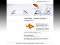 Hollergschwandtner Management & Advies B.v.