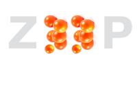 ZEEP architecten B.V.