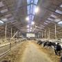Led verlichting