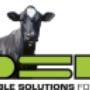logo dsd