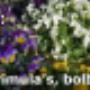 Jilderda's Bloemenboetiek