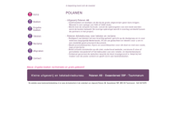 Polanen Adviesbureau