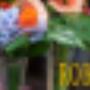 Rob's Tuincentrum
