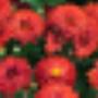 Rob's Tuincentrum