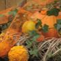 Rob's Tuincentrum