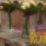 Rob's Tuincentrum