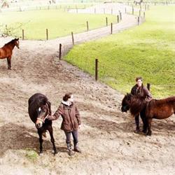 Stichting Manege Slichtenhorst