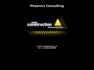 Phoenics Consulting
