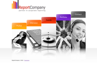 Report Company