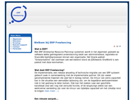 ERP Freelancing