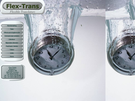 Flex-Trans, Flexible Translators