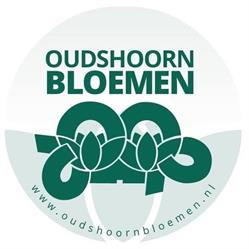 Oudshoorn Bloemen