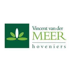 Vincent van der Meer Hoveniers
