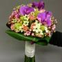 Rijk Bloemen en Planten Co de