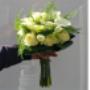 Rijk Bloemen en Planten Co de