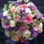 Rijk Bloemen en Planten Co de