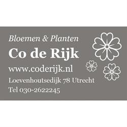 Co de Rijk Bloemen en Planten