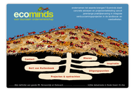 Ecominds