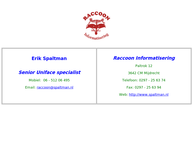 Raccoon Informatisering