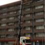 Gortenmulder VOF Transport M K