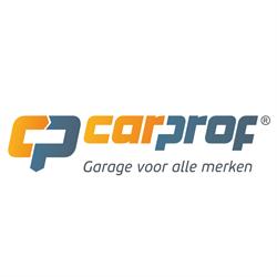 Autobedrijf Te Grotenhuis Woudenberg | CarProf