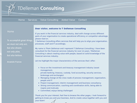 TDelleman Consulting