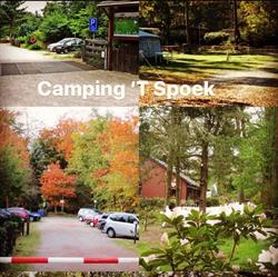 Alcoholvrije Camping 't Spoek