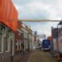 Bestrijding bonte knaagkever